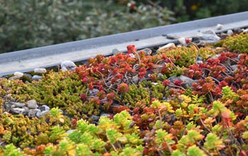 the cost of Efford green roof installation