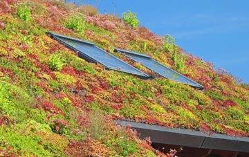 Efford living roof systems