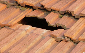 roof repair Efford, Devon