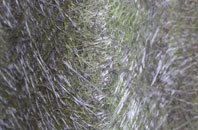 Efford fibreglass roof work